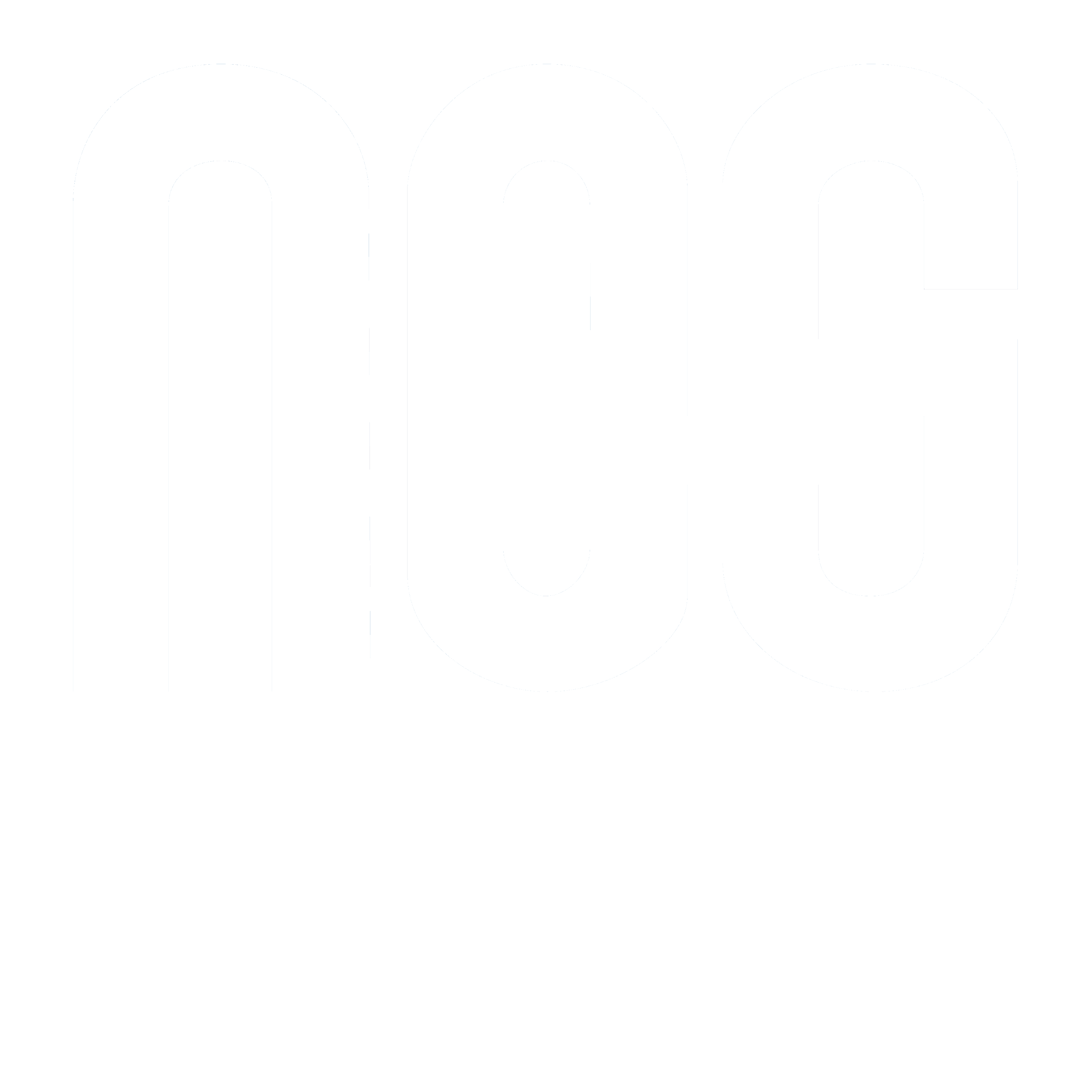 NES Logo